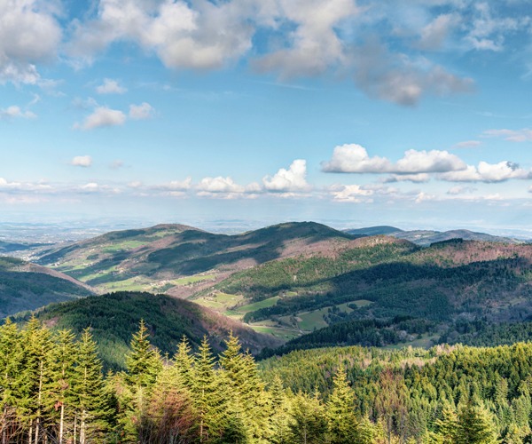 Le Mont-Besset paysage Ardèche à Lalouvesc